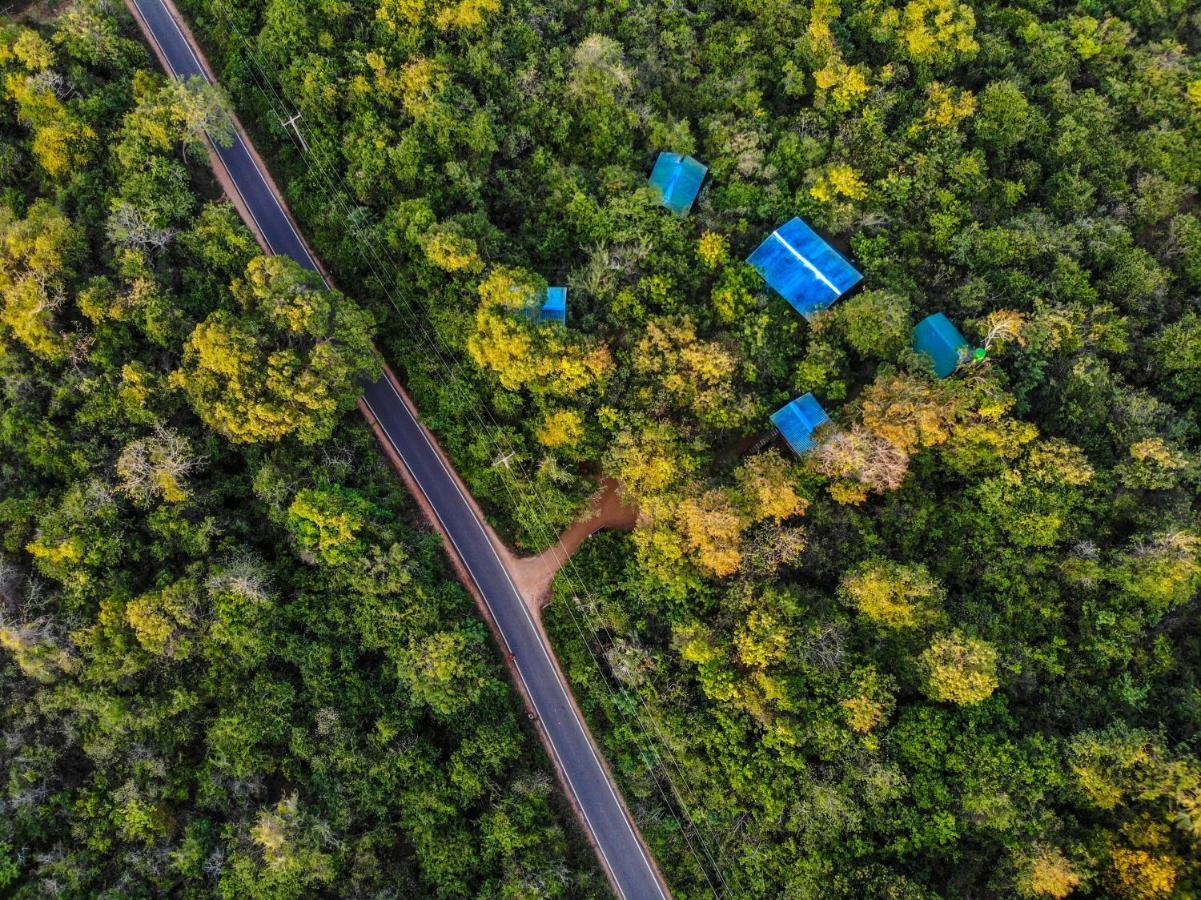 Дерев'яний котедж The Thick Forest Сігірія